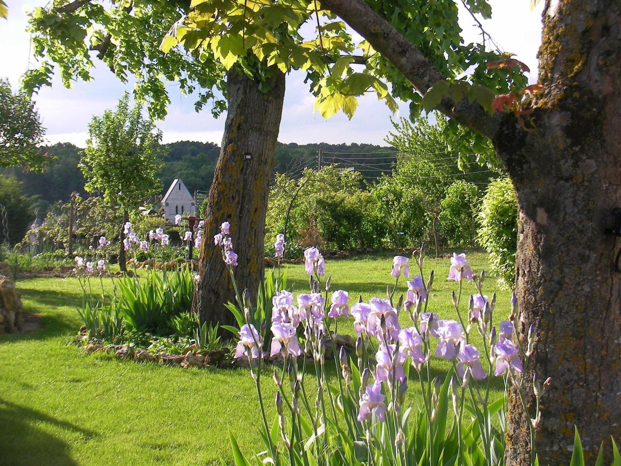 Chambres D'Hotes La Vallee Des Vignes Monthou-sur-Cher Zewnętrze zdjęcie
